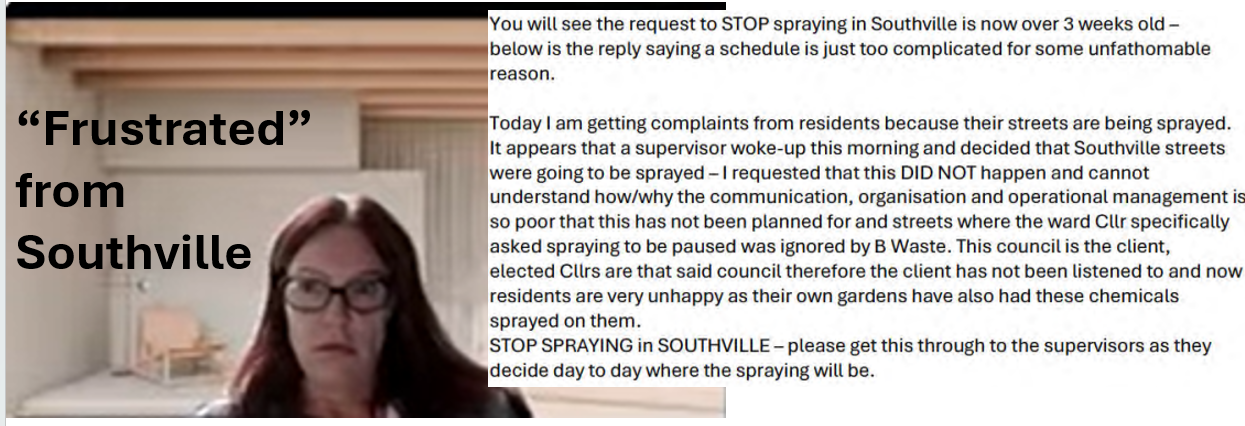 Southville Councillors - Democracy in Action