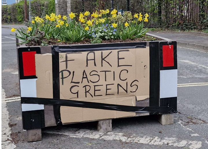Planter Maintenance in Bristol