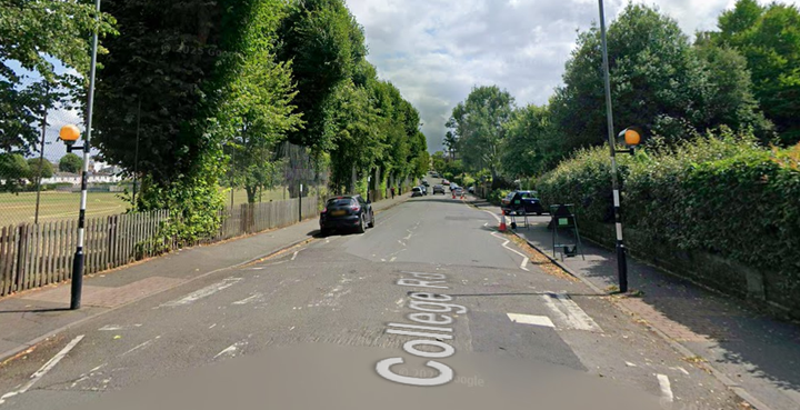 Zebra Crossing Danger